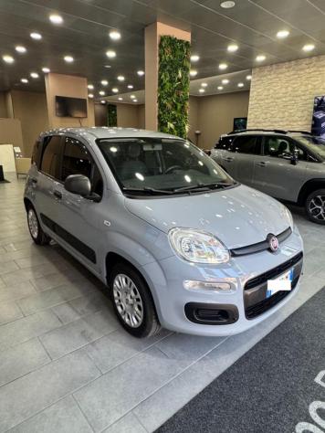 FIAT Panda 1.2 Lounge rif. 24074833 - Foto 2