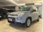 FIAT Panda 3ª serie Panda 1.0 FireFly S&S Hybrid