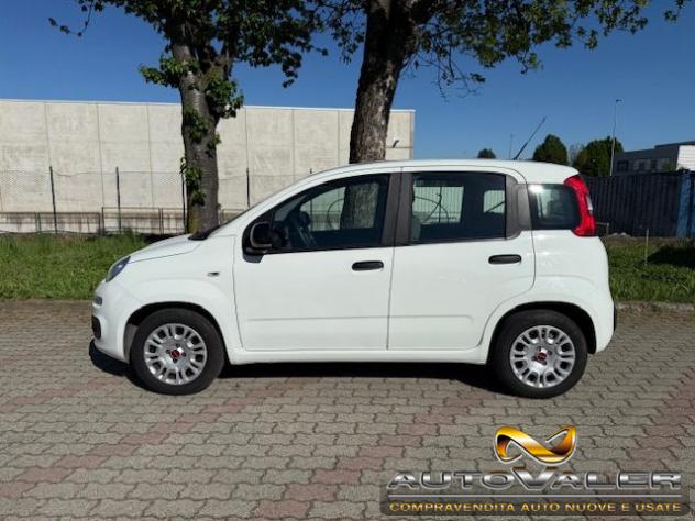 FIAT Panda 1.0 FireFly S&S Hybrid Apple CarPlay rif. 23995288 - Foto 5