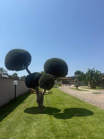Indipendente in affitto a San Felice Circeo - Foto 4