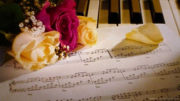 Musica per il matrimonio in provincia di Asti (Quartetto i Classici)