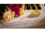 Musica per il matrimonio in provincia di Asti (Quartetto i Classici)
