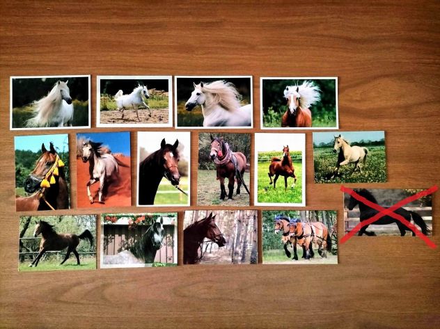 CARTOLINE FOTOGRAFICHE *CAVALLI* DA COLLEZIONE ***NUOVE***