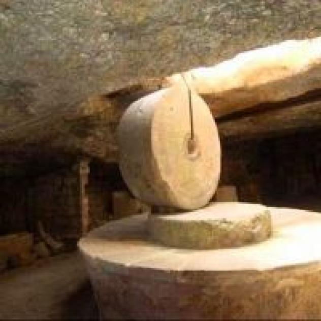 Masseria Didattica Trappito Stracca - Foto 3