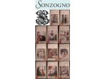 ROMANTICA ECONOMICA LOTTO N. 11 ROMANZI, CASA EDITRICE SONZOGNO - MATARELLI.
