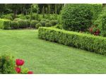 TERRATETTO MQ. 240  7 CAMERE +3 BAGNI +DEPENDANCE IDEALE PER IMPRESE EDILI