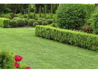 TERRATETTO MQ. 240  7 CAMERE +3 BAGNI +DEPENDANCE IDEALE PER IMPRESE EDILI