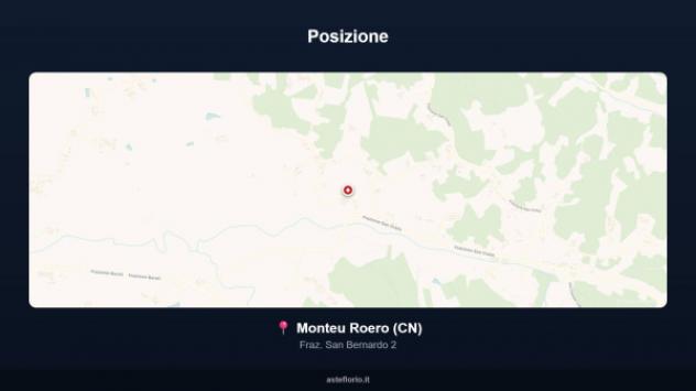 Immobile in asta di 12104 m² in vendita a Monteu Roero - Foto 4