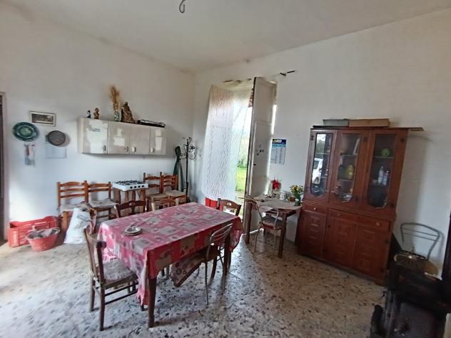 Uliveto in vendita a Paternò - Foto 7
