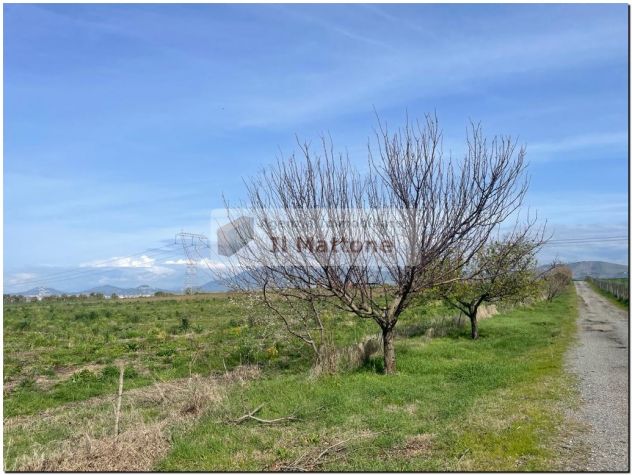 roma est terreno agricolo di 27 ettari