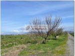 roma est terreno agricolo di 27 ettari