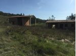Colonica in vendita a Marzana - San Miniato 648 mq  Rif: 848460