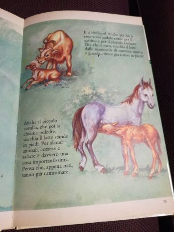 : I PRIMI LIBRI PER IMPARARE Vol 2 - Foto 2
