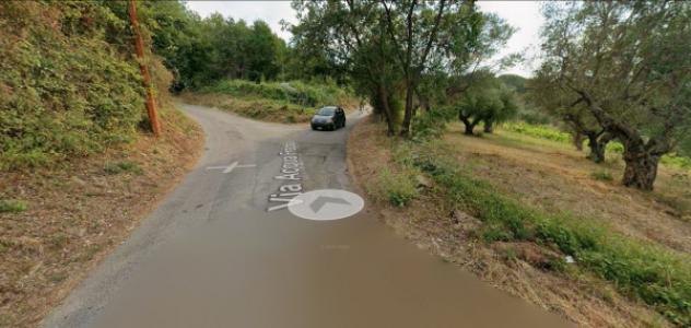 Immobile in asta di 2083 m² in vendita a Montalto Uffugo - Foto 2