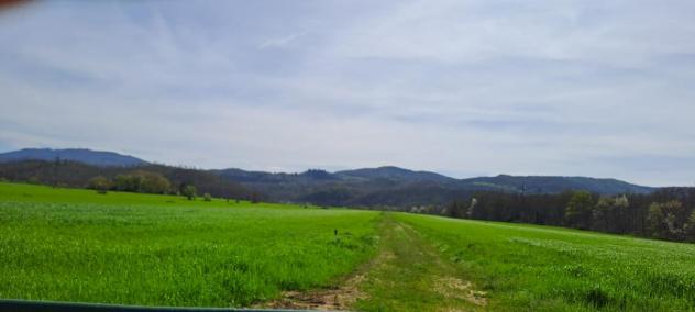 TERRENO AGRICOLO di 130000 mq (SCARPERIA E SAN PIERO - SCARPERIA) rif. AAI788 - Foto 3