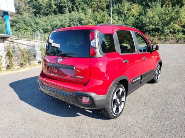 FIAT Pandina Pandina Cross 1.0 firefly hybrid s&s 65cv Red Edition - Foto 6