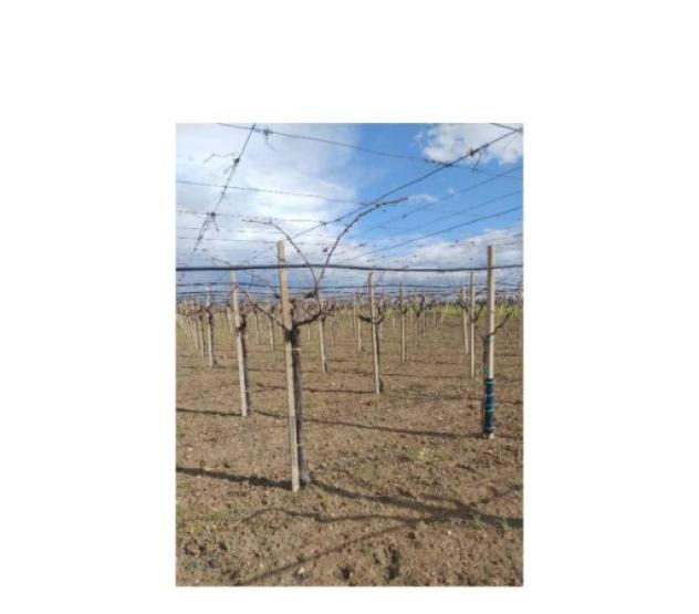 Immobile in asta di 78 m², box auto in vendita a San Severo - Foto 3