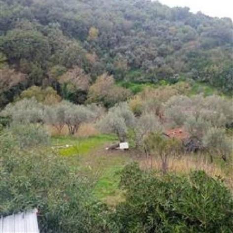 Immobile in asta di 414 m² con più di 5 locali in vendita a Sant'Agata di Militello - Foto 5