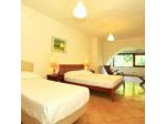 Gocce di Limone B&B Sorrento