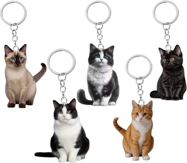 Portachiavi a gatto