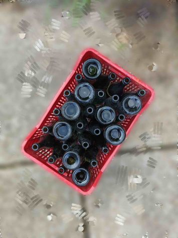 Bottiglie in vetro, tappo corona, per Vino