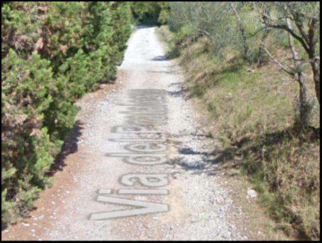 Immobile in asta di 9170 m² in vendita a Pescia - Foto 5
