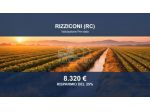 Immobile in asta di 3600 m² in vendita a Rizziconi