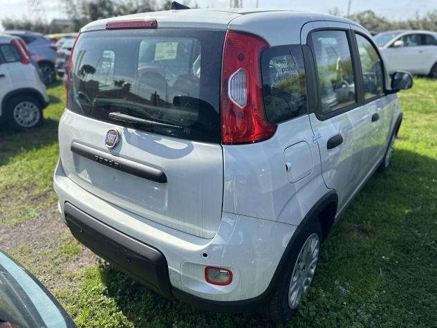 FIAT Panda Panda 1.0 FireFly S&S Hybrid Pop - Foto 7