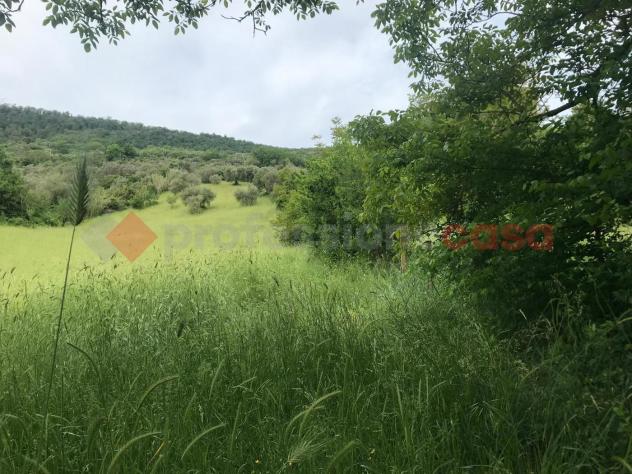 Terreno Agricolo - Tivoli . Rif.: Cod. rif 3234108ARG - Foto 6