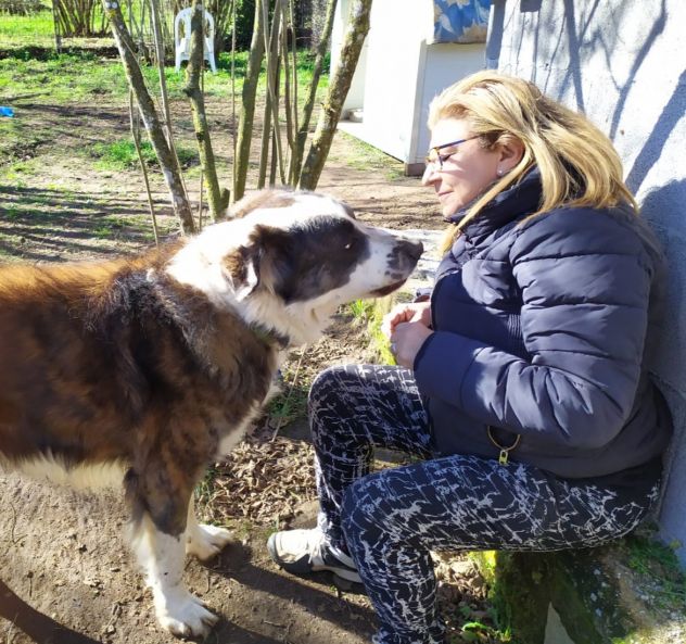 Dog/cat-sitter Roma Fonte Meranvigliosa e limitrofi