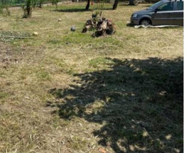 Immobile in asta di 1 m² in vendita a Gioiosa Ionica - Foto 10