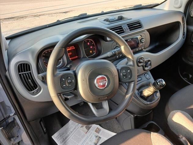 FIAT PANDA HYBRID 1.0 FireFly 70 CV S&S CITY LIFE - Foto 9