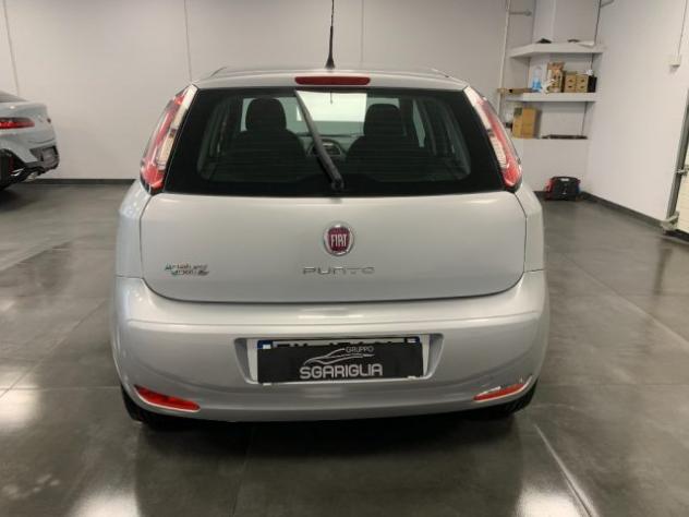 FIAT Punto 1.4 Metano Natural Power Lounge 5 Porte rif. 24052145 - Foto 5