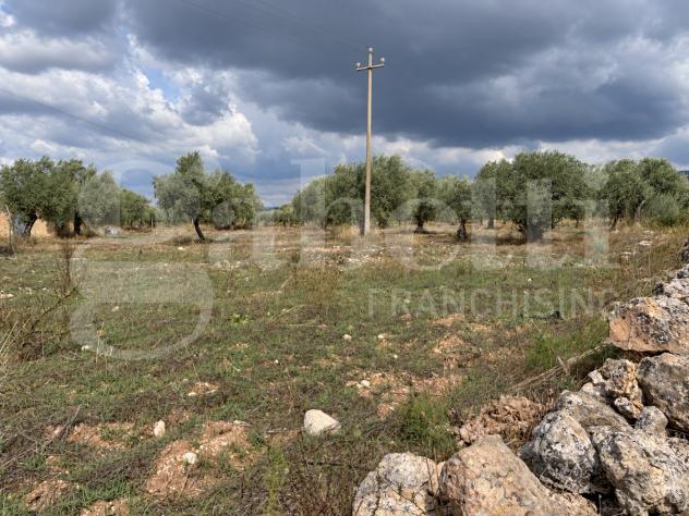Terreno Agricolo - Chiaramonte Gulfi . Rif.: Cod. rif 3343369VCG - Foto 3