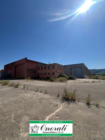 MQ 16.500 ORTE (VT), Rif. V-644. - Foto 4