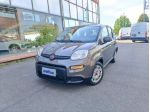 FIAT Panda 1.0 FireFly S&S Hybrid rif. 23818161
