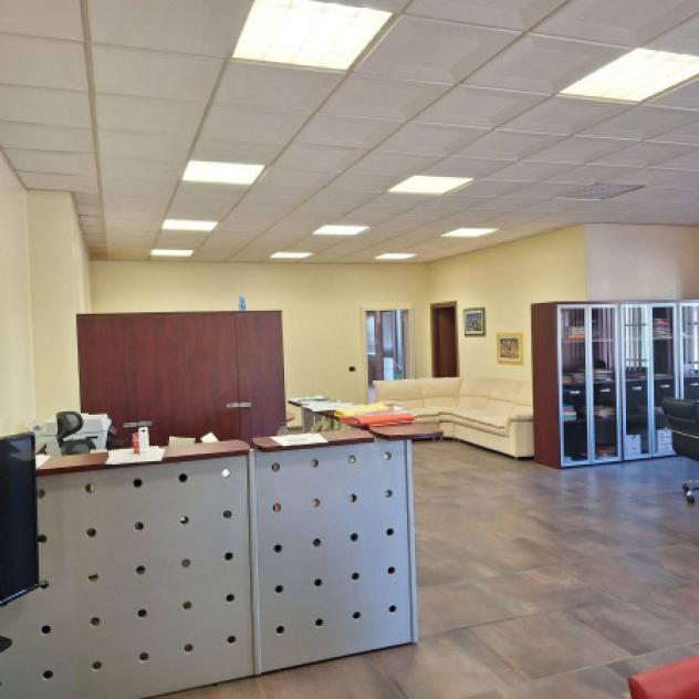 Immobile di 1650 m² con 5 locali in vendita a Casalgrande - Foto 14