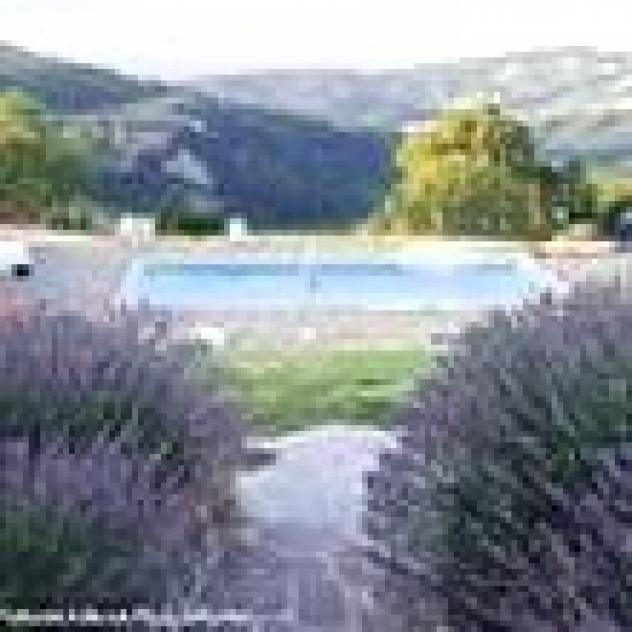 Agricola Coccorano dei Fratelli Sotgia Societa' Semplice - Foto 2