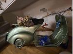 PIAGGIO Vespa 125 faro basso V1T Bacchetta rif. 24063040