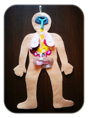 Libri Sensoriali bambini "Il Corpo Umano" - Foto 3