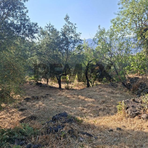 Terreno in vendita a Castiglione di Sicilia - Foto 16