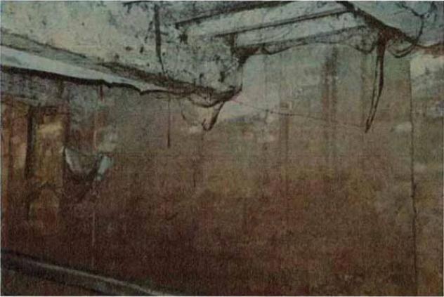 Immobile in asta di 626 m² in vendita a Moglia - Foto 17