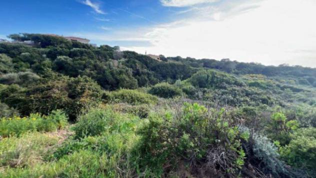 Immobile in asta di 3 m² in vendita a Santa Teresa Gallura - Foto 3