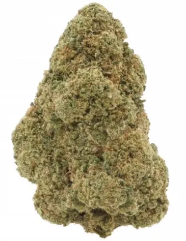 Super Silver Haze