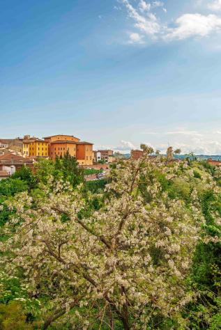 Appartamento in vendita a San Miniato 100 mq Rif: 1272713 - Foto 10
