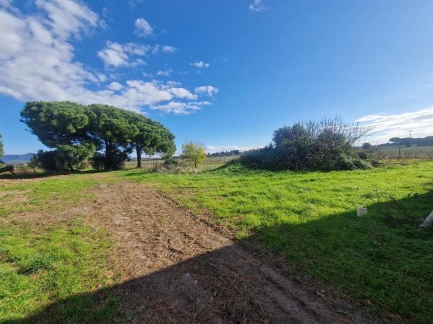 Colonica in vendita a Vada - Rosignano Marittimo 400 mq Rif: 1296852 - Foto 5
