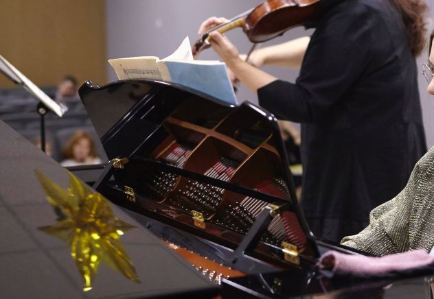 Violinista e pianista Samarate e Saronno