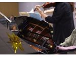 Violinista e pianista Samarate e Saronno