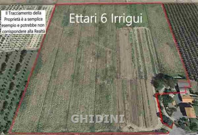 TERRENO AGRICOLO di 1 vani e di 60000 mq (GROSSETO) rif. 2210.137M