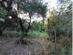 Terreno edificabile a Terni, in prima periferia